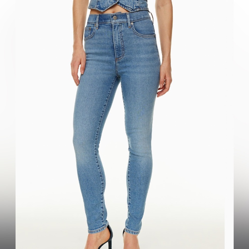 Aritzia Denim Forum Blue Skinny Jeans Vintage-Inspired
